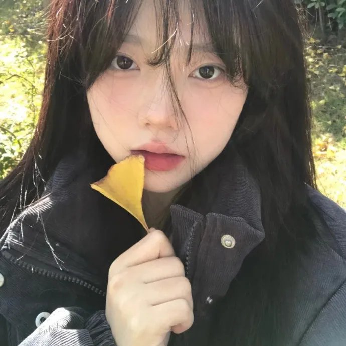 郊区的鸟